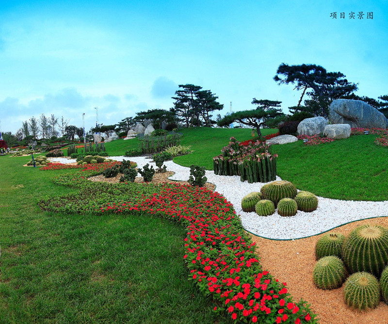 碧桂园滨海城实景图7