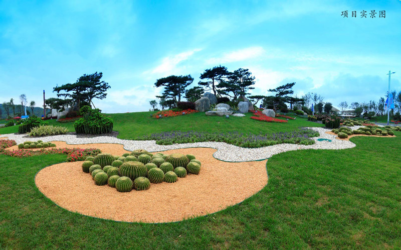 碧桂园滨海城实景图8