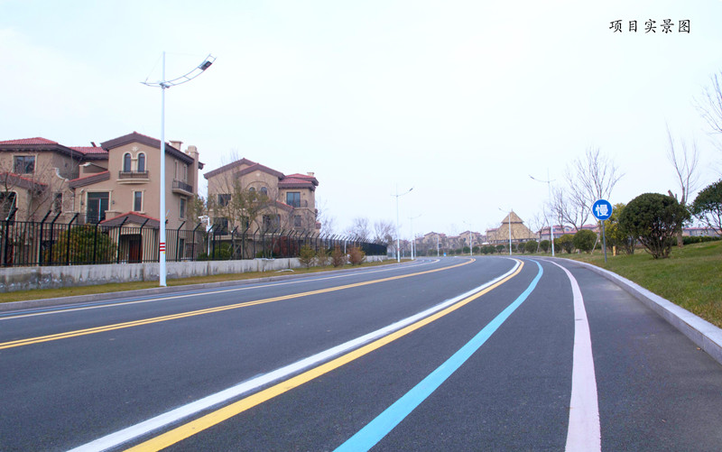 碧桂园滨海城实景图22