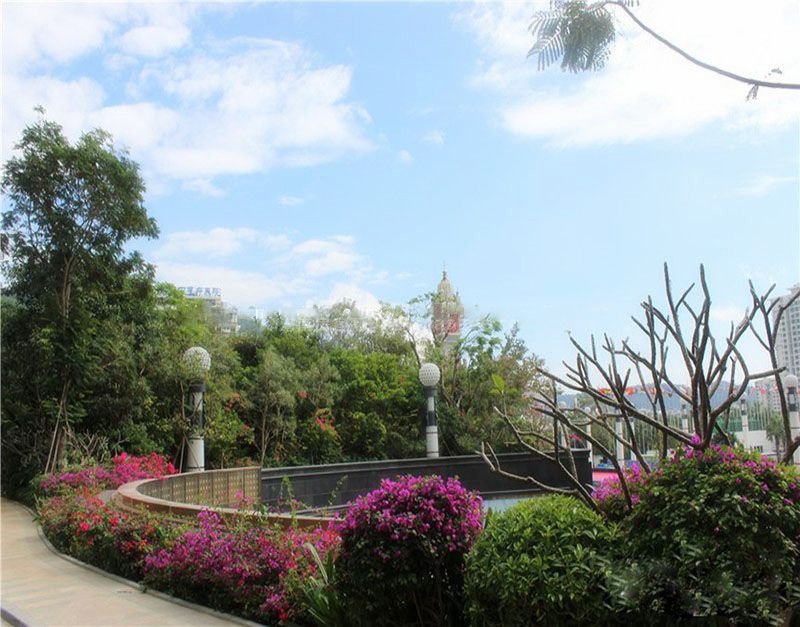 恒大·美丽之冠 