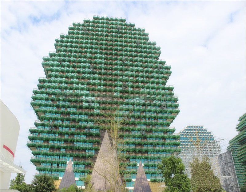 恒大·美丽之冠 