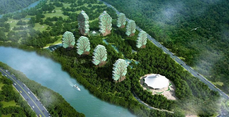 恒大·美丽之冠 