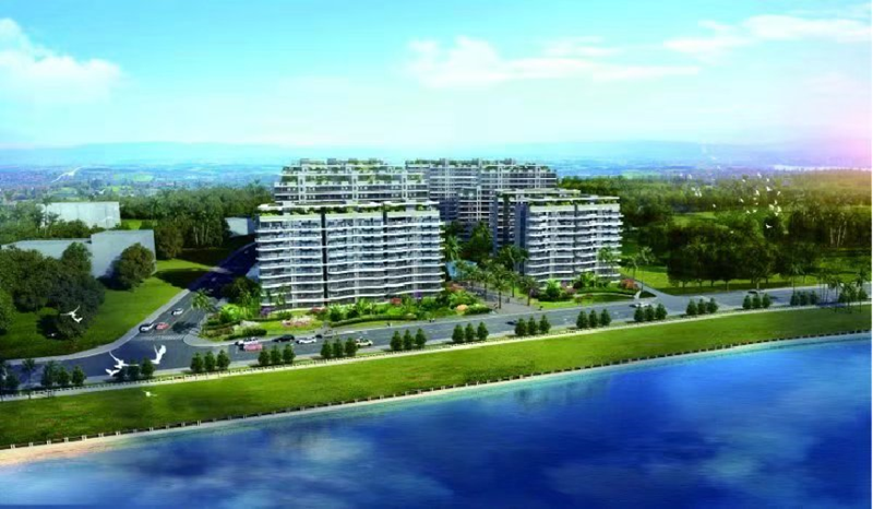 椰林阳光效果图1