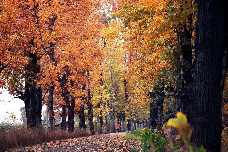 昆明恒大养生谷