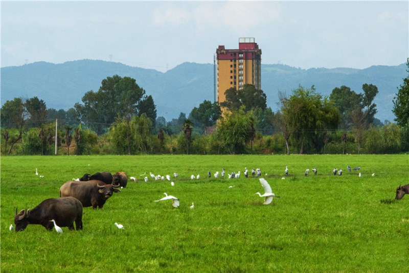 昆明恒大养生谷
