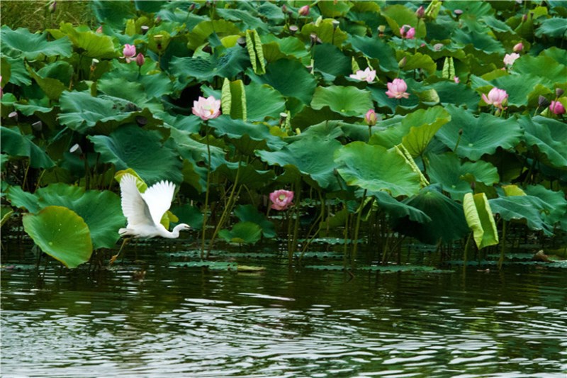 昆明恒大养生谷
