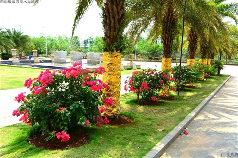 四季康城四期水岸城邦