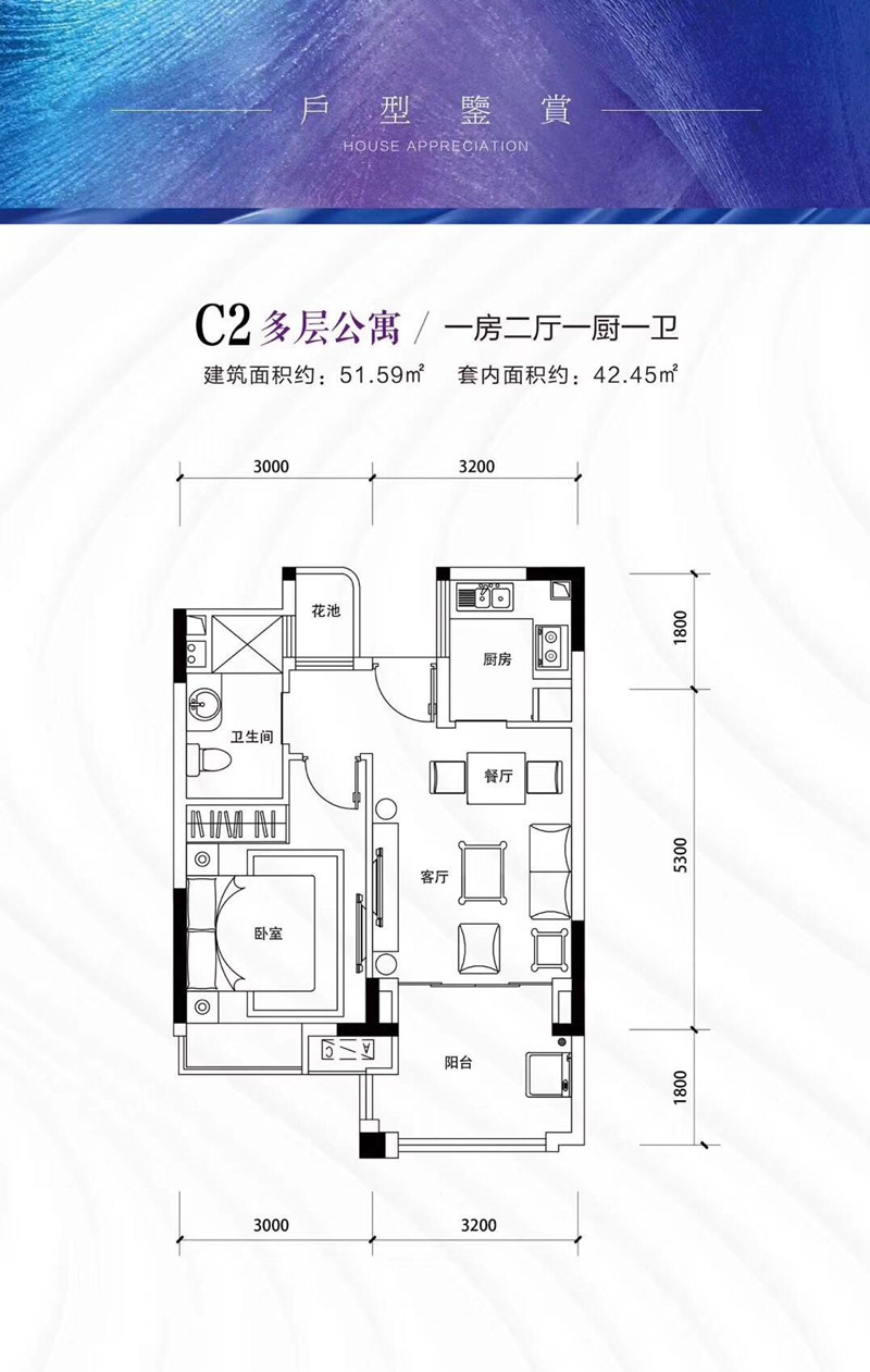 天赐上湾C2户型图