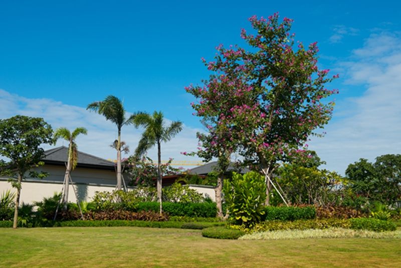 中交绿城高福小镇