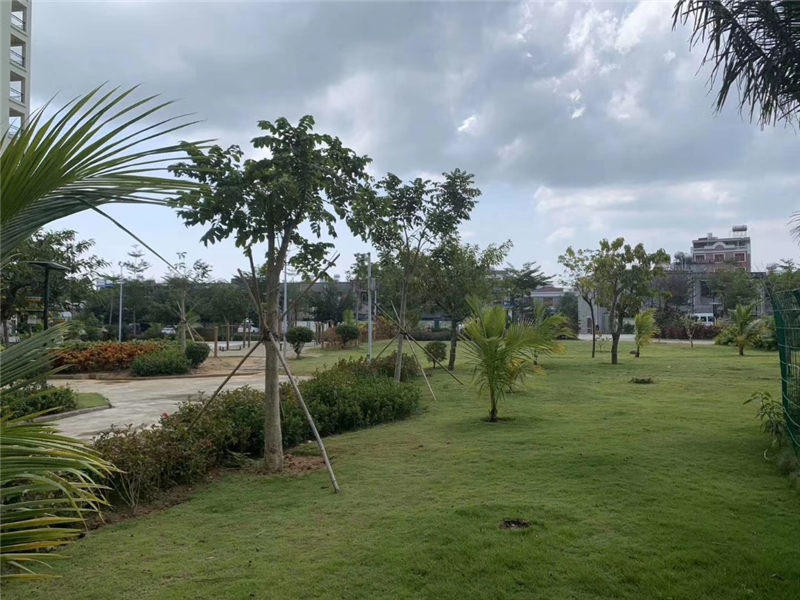 珍珠湾风情小镇