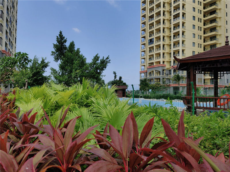 珍珠湾风情小镇