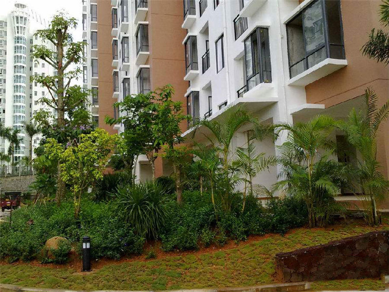 珍珠湾风情小镇