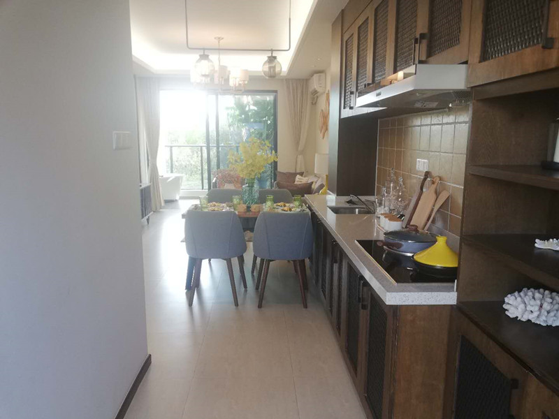 天骄海棠湾65平样板间