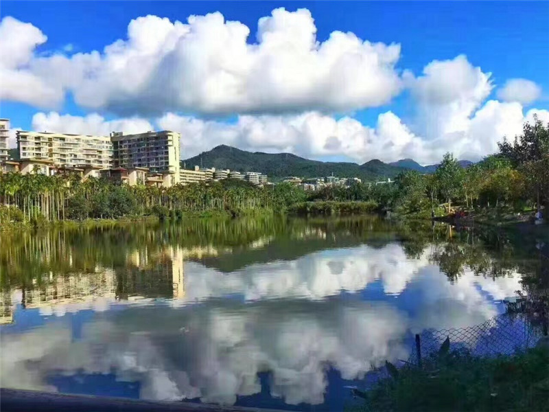 万科森林度假公园