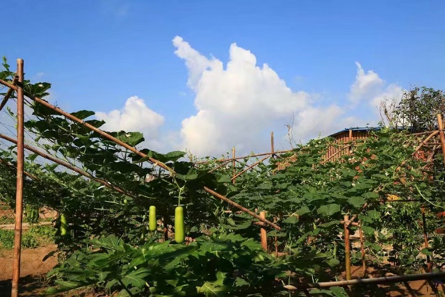 万科森林度假公园