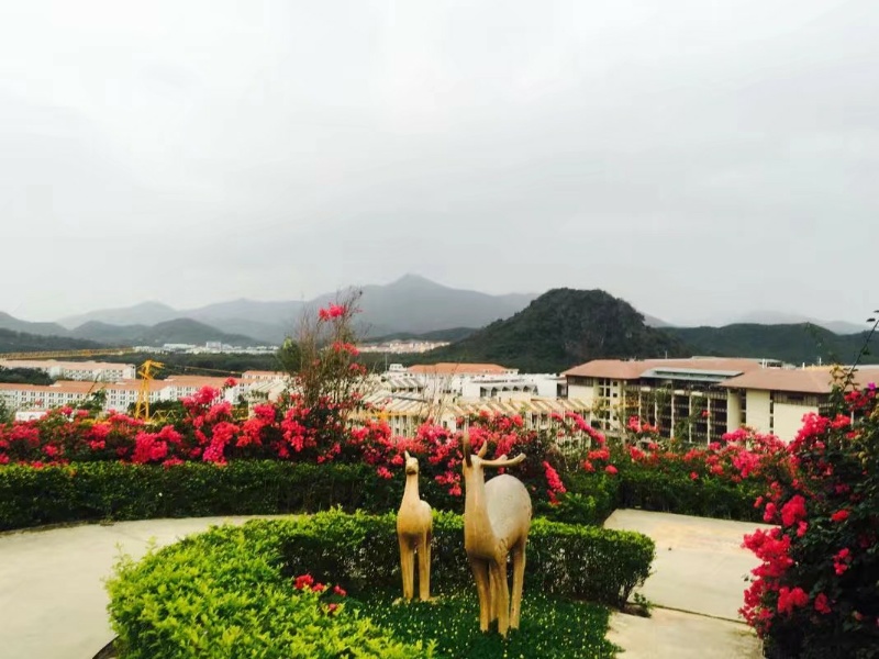 万科森林度假公园