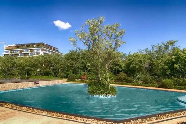 万科森林度假公园