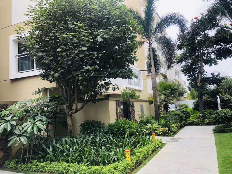 佳兆业海棠四季