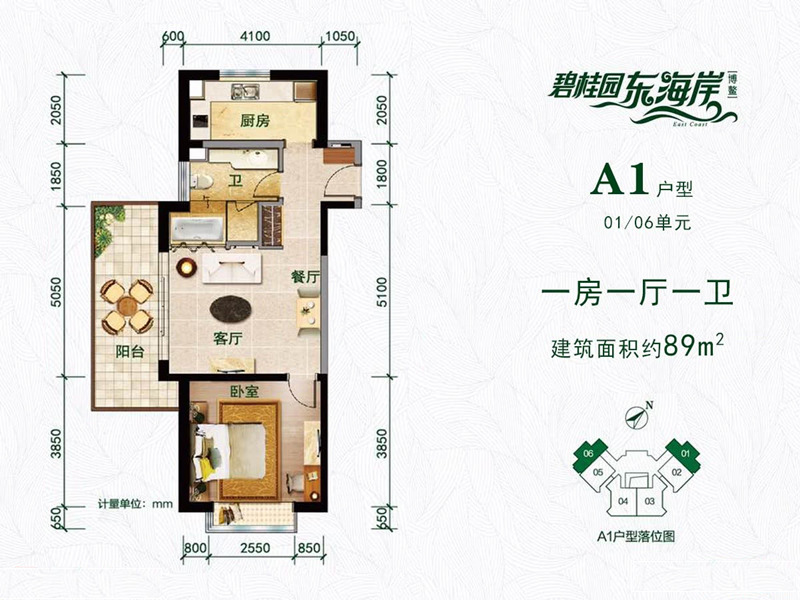 碧桂园东海岸A1户型 