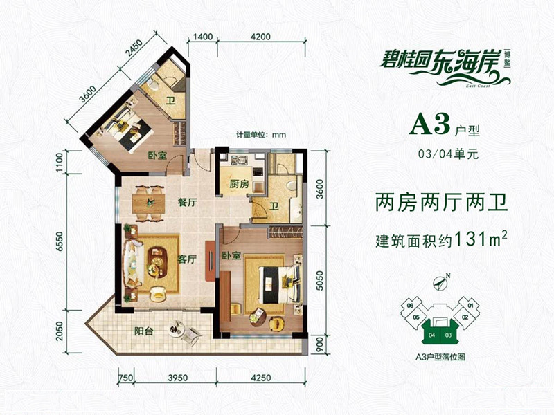 碧桂园东海岸A3户型 