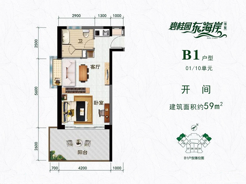 碧桂园东海岸B1户型 