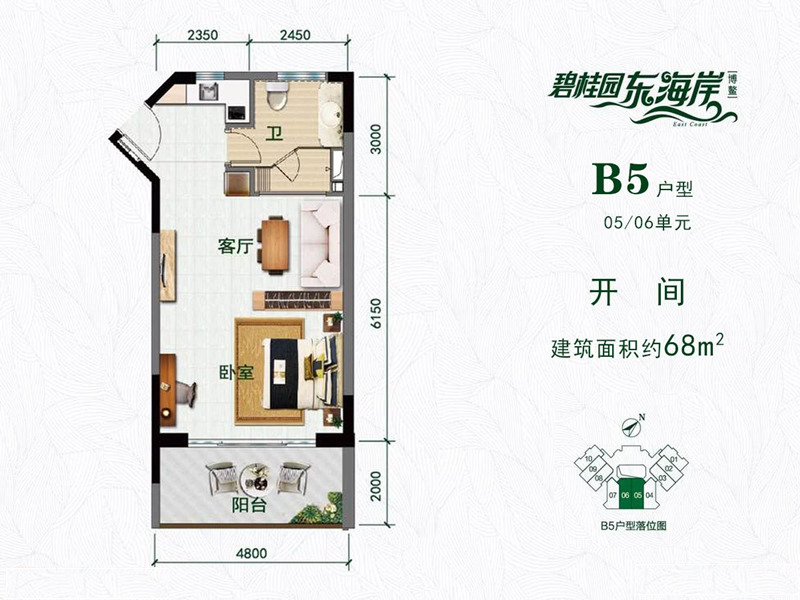 碧桂园东海岸B5户型 