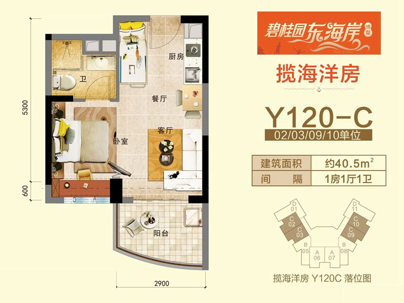 碧桂园东海岸Y120-C户型