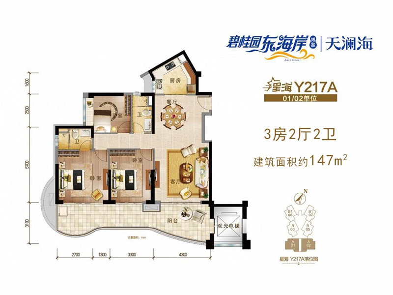 碧桂园东海岸Y217A户型