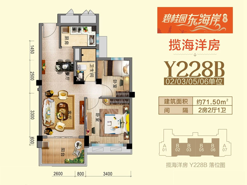 碧桂园东海岸Y228户型