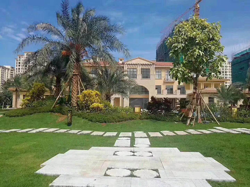 碧桂园海逸半岛