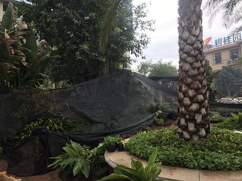 碧桂园海逸半岛