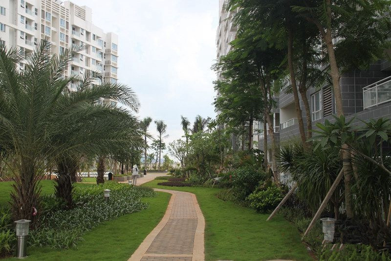 鲁能·海蓝福源