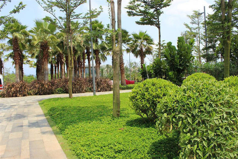 国家海岸·保利财富中心 