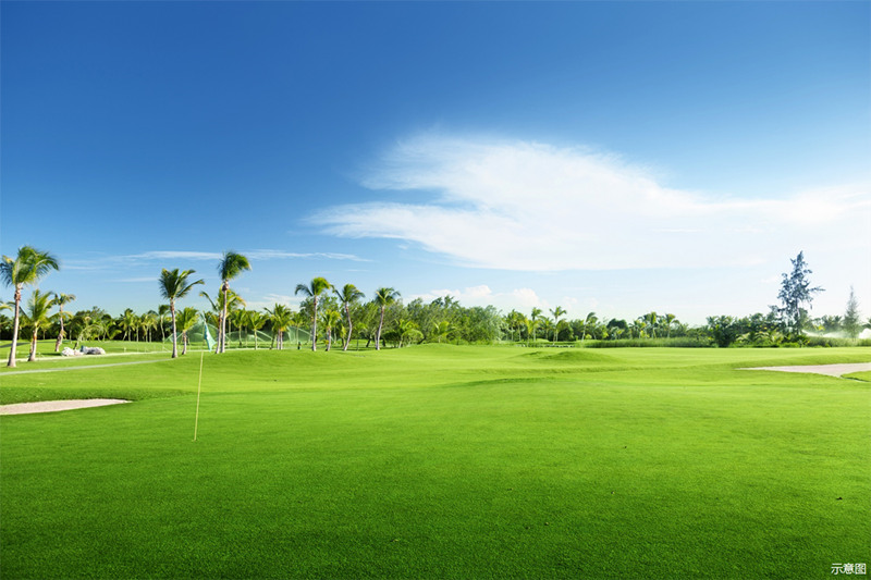 观澜湖君悦公馆