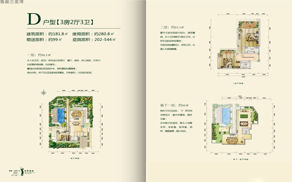 鲁能三亚湾D户型 