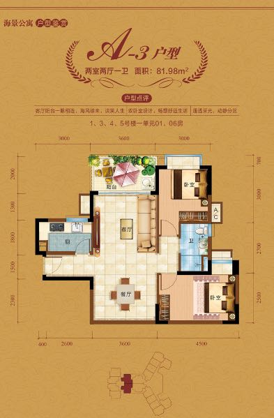 中视金海湾A3户型 