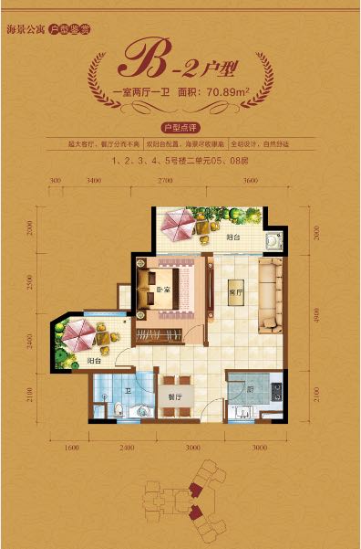 中视金海湾B2户型