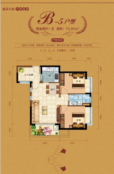 中视金海湾B5户型