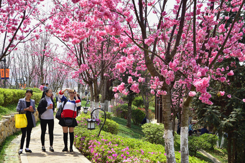 七彩云南古滇名城