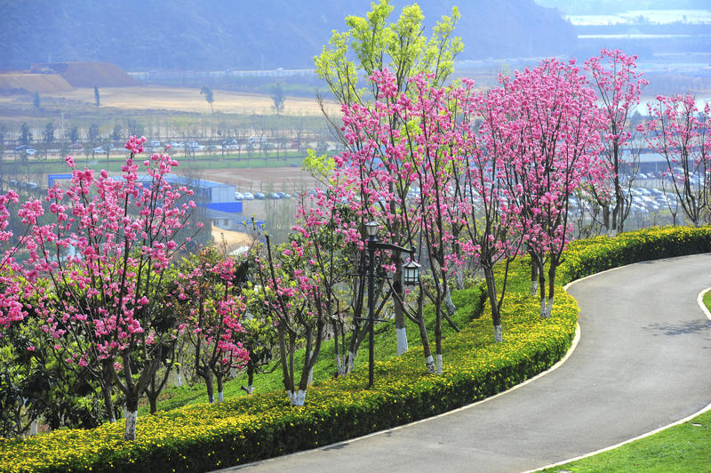 七彩云南古滇名城