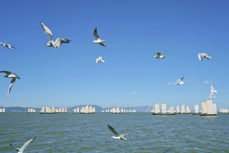 七彩云南古滇名城