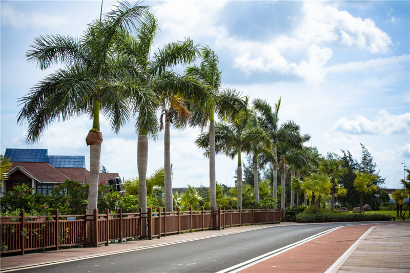 碧桂园红树湾实景图