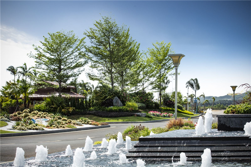 碧桂园红树湾实景图