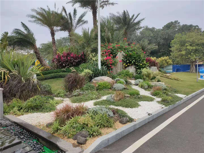 碧桂园红树湾实景图