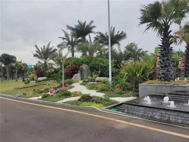 碧桂园红树湾实景图