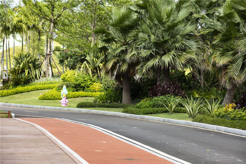 碧桂园红树湾实景图