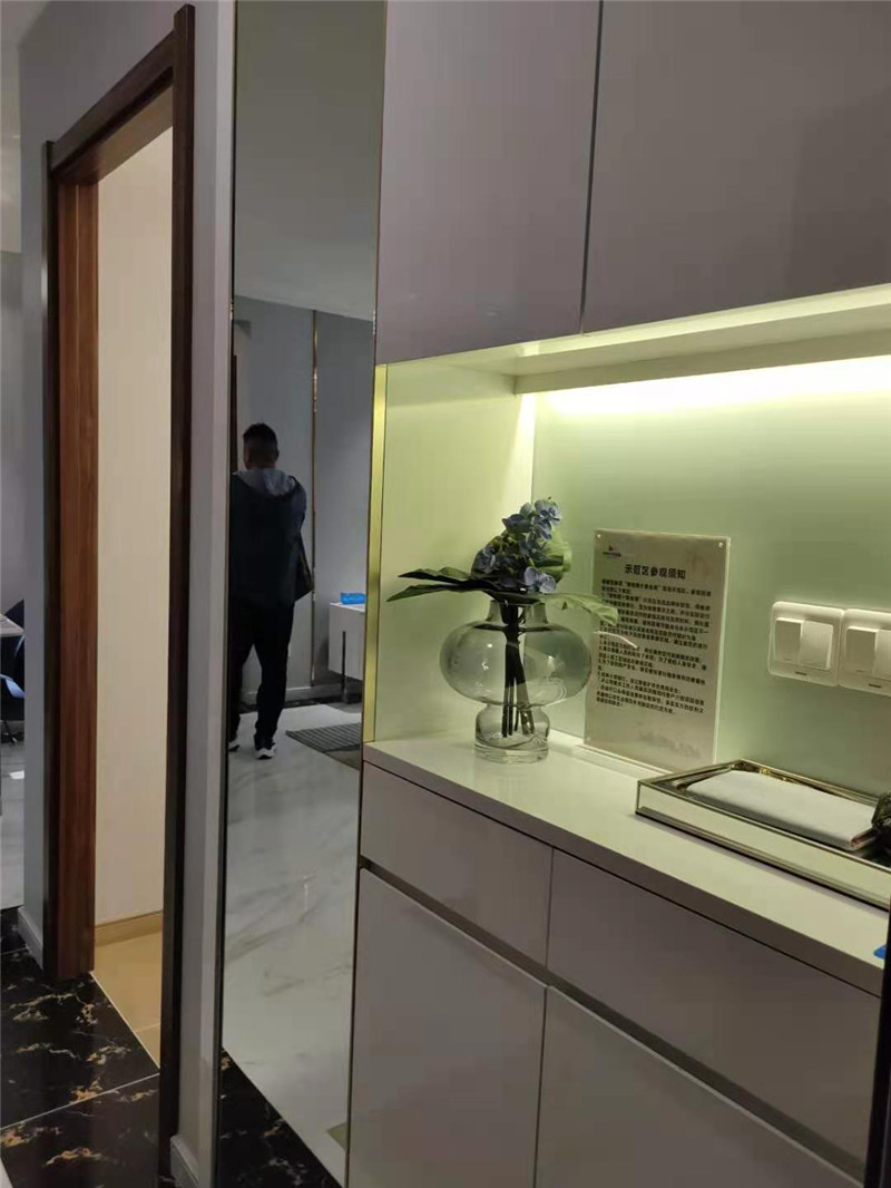 碧桂园红树湾样板间