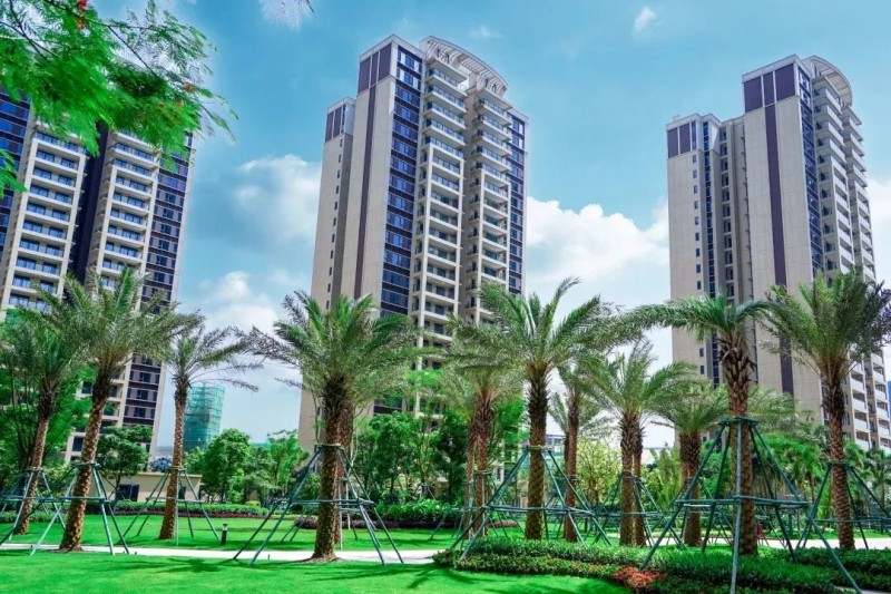 碧桂园中央半岛