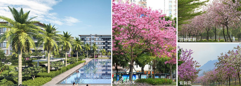 昊瑞·海悦半岛