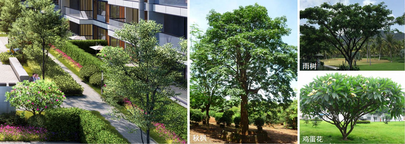 昊瑞·海悦半岛